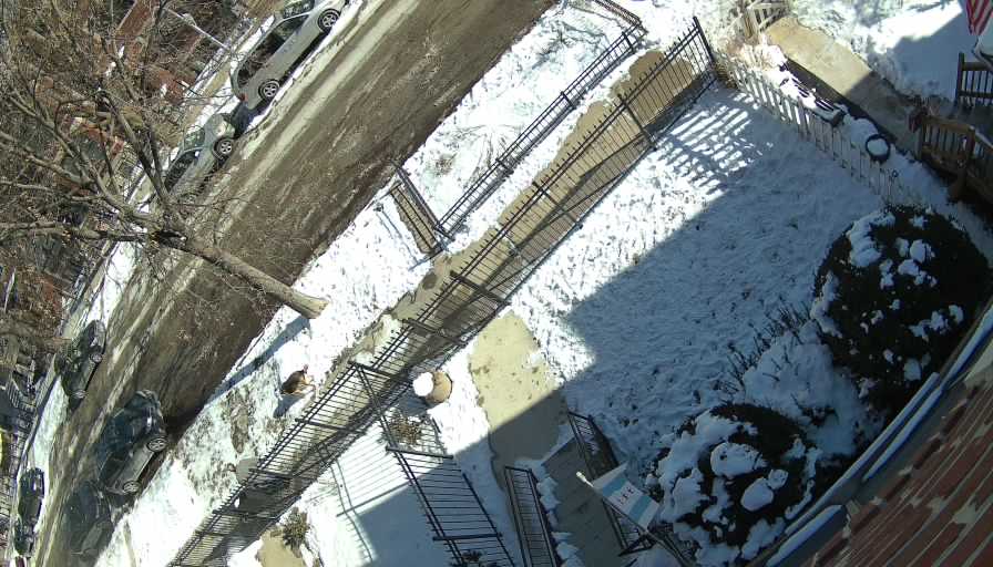 Reolink Camera Two_01_Reolink Home Hub One_20260129125113.jpg